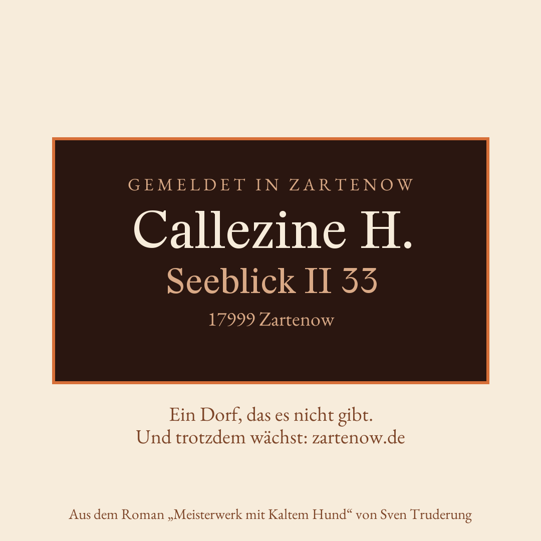 Klingelschild Callezine H., Seeblick II 33, 17999 Zartenow